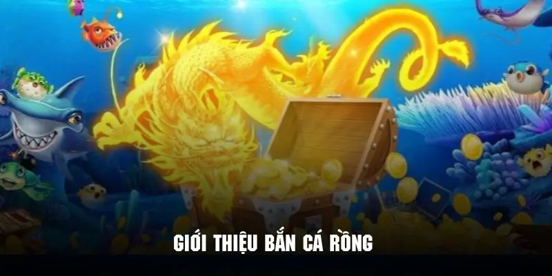 Giới thiệu phiên bản bắn cá rồng siêu hot trên nền tảng Bk8