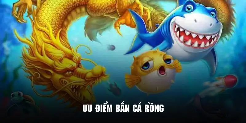 Săn cá rồng mang nhiều ưu điểm tạo sức hút khó cưỡng
