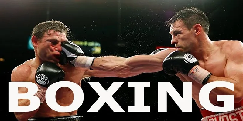 Cá cược Boxing có nhiều hình thức hấp dẫn