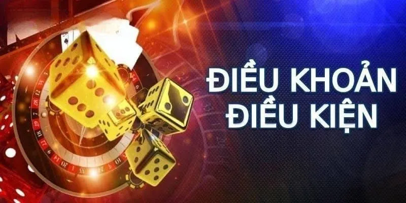 Thông tin chung về các điều khoản và điều kiện 