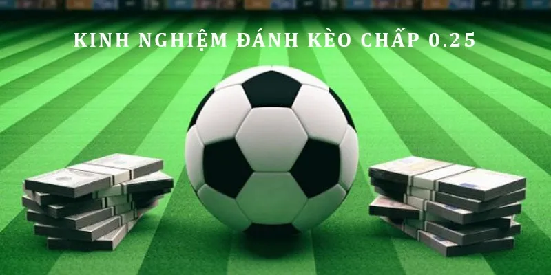 Tips dự đoán tỷ lệ bóng đá 1/4 châu Á