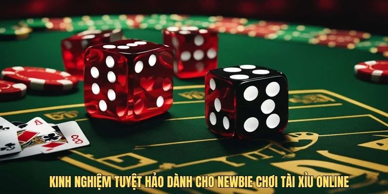 Kinh nghiệm tuyệt hảo dành cho Newbie chơi tài xỉu online