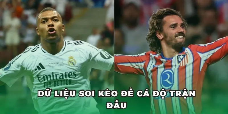 Dữ liệu soi kèo để cá độ trận đấu